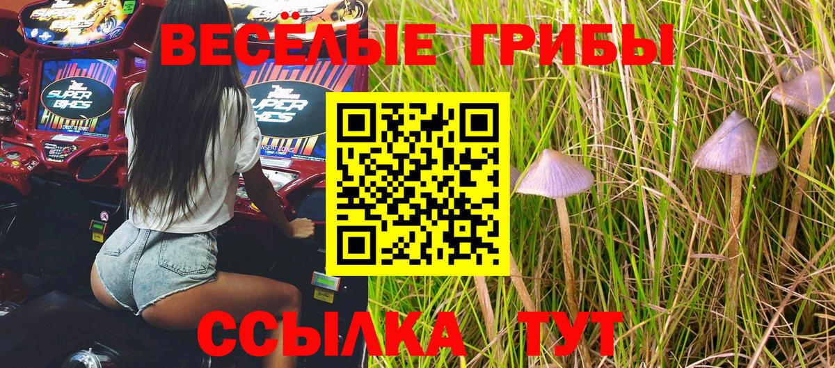 Галлюциногенные грибы MAGIC MUSHROOMS Новозыбков