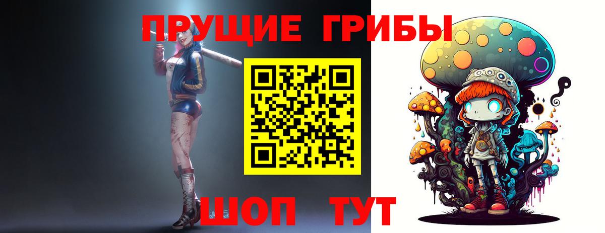 Псилоцибиновые грибы мицелий  Вход с VPN  Новозыбков 